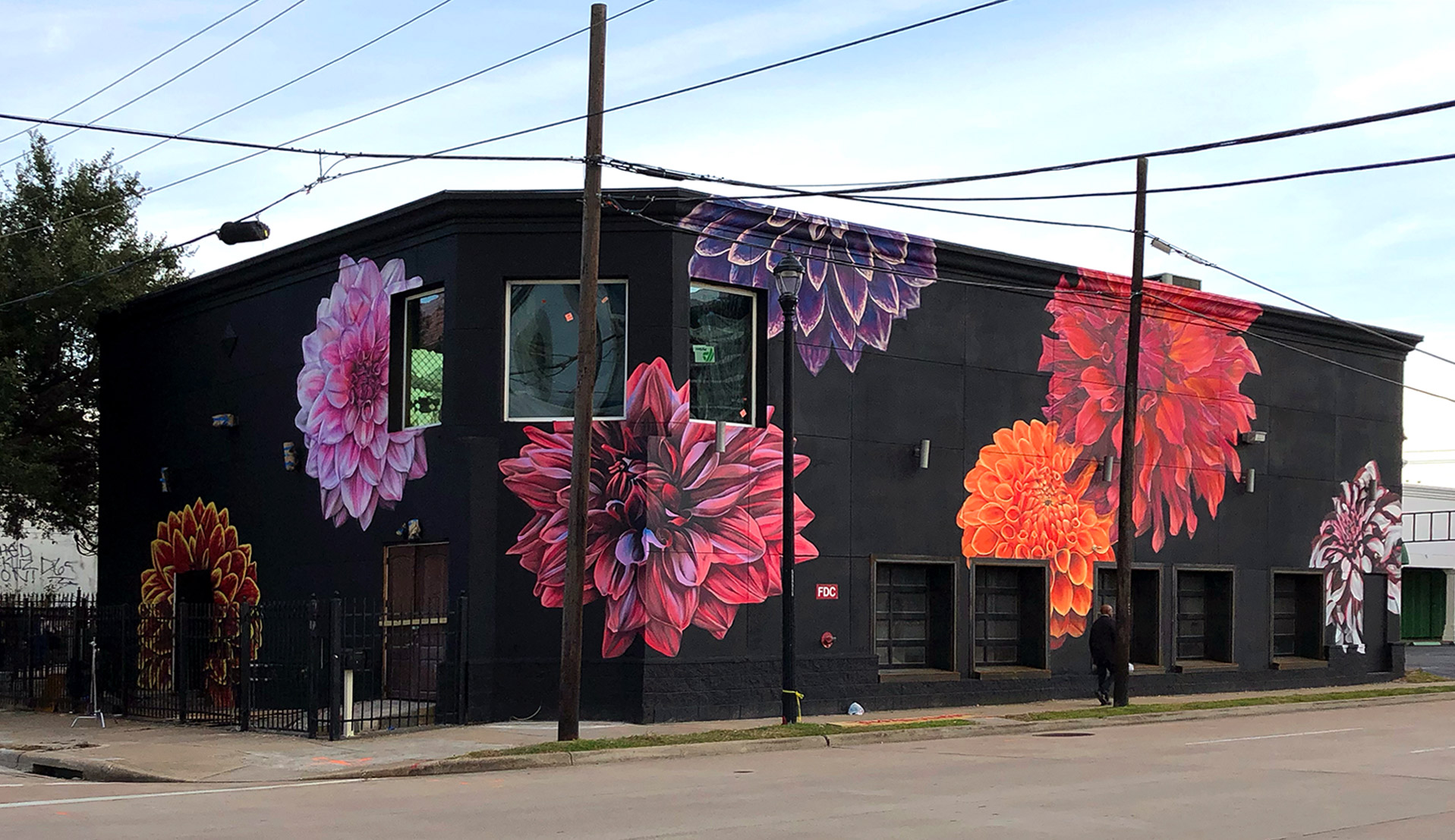 Dalia 0006 Dahlia Exterior color corrected 2020